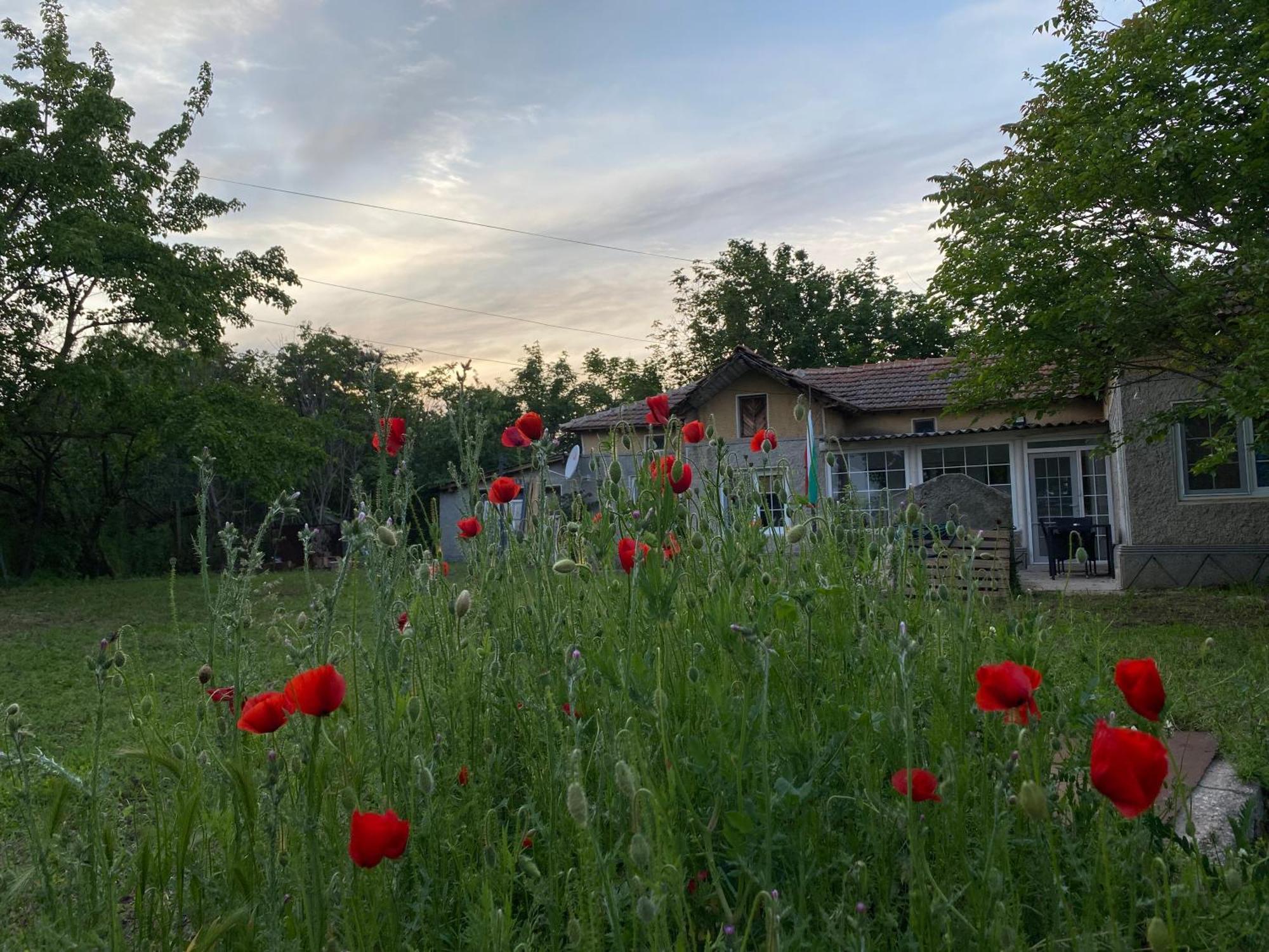 Ferienhaus Primorska Sunshine In Strandnaehe Шабла Экстерьер фото